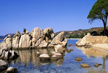 天涯论坛再曝肖战黑料，粉丝傻眼了！